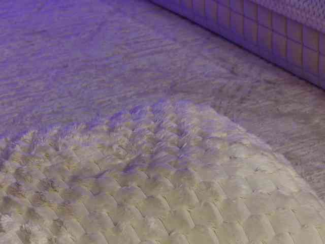 OnlyXandra7 webcam