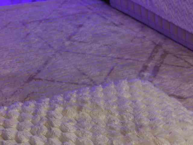 OnlyXandra7 webcam