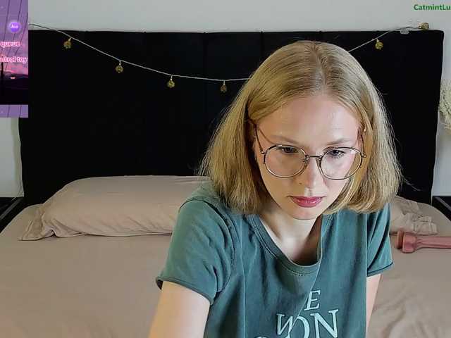CatmintLush