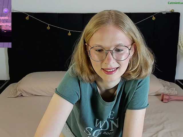 CatmintLush