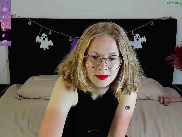 CatmintLush
