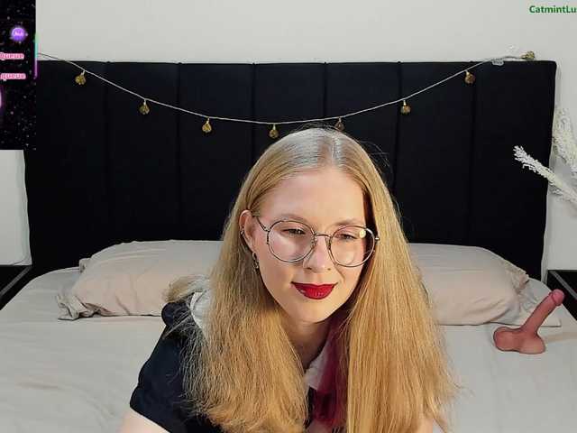 CatmintLush