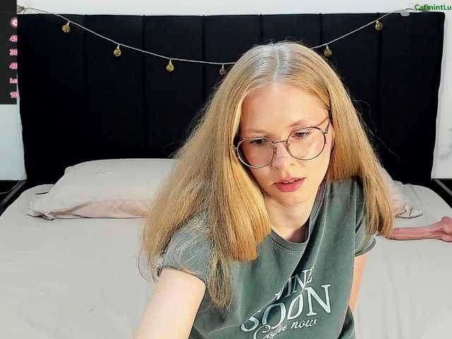 CatmintLush