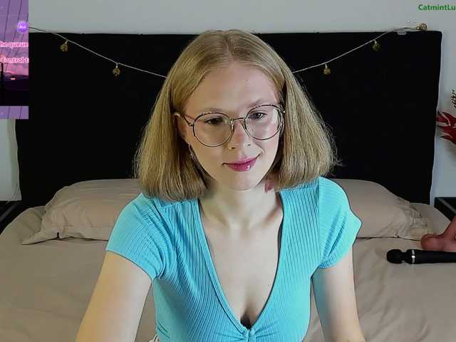 CatmintLush