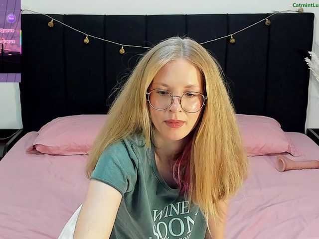CatmintLush
