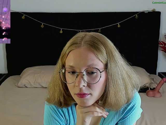 CatmintLush
