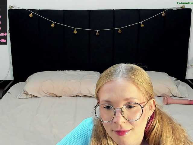 CatmintLush