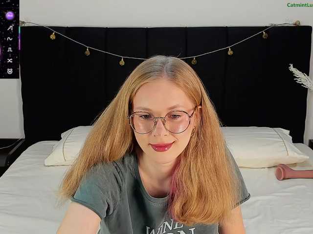CatmintLush