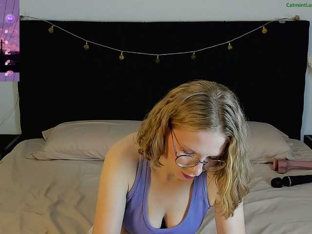 CatmintLush
