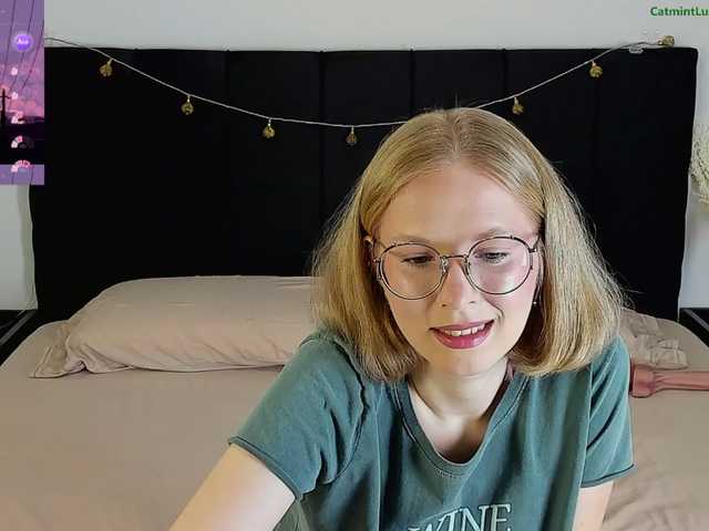 CatmintLush