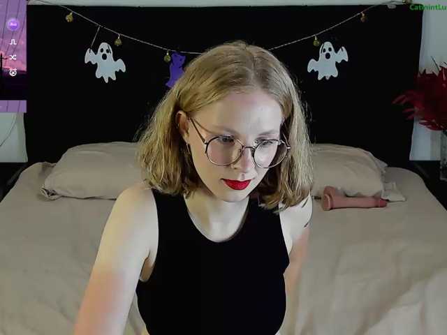 CatmintLush