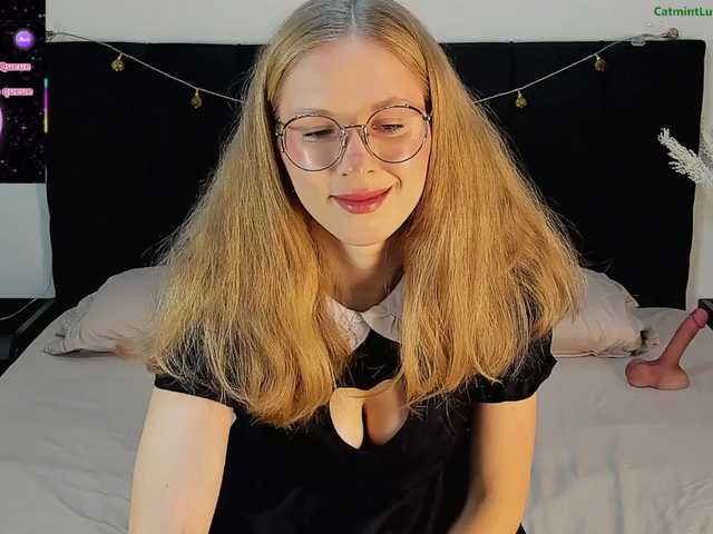 CatmintLush