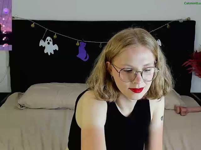 CatmintLush