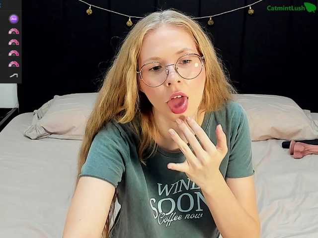 CatmintLush