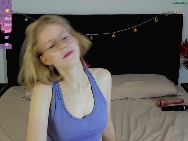 CatmintLush