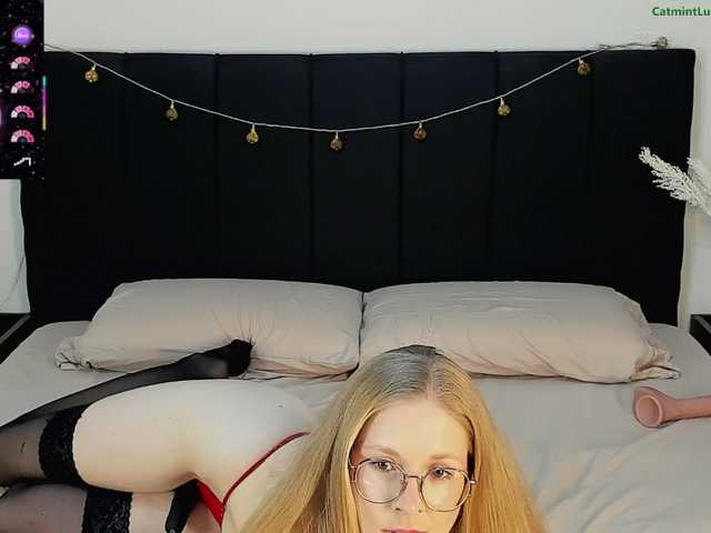 CatmintLush