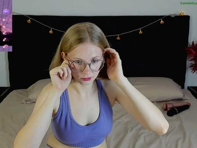CatmintLush