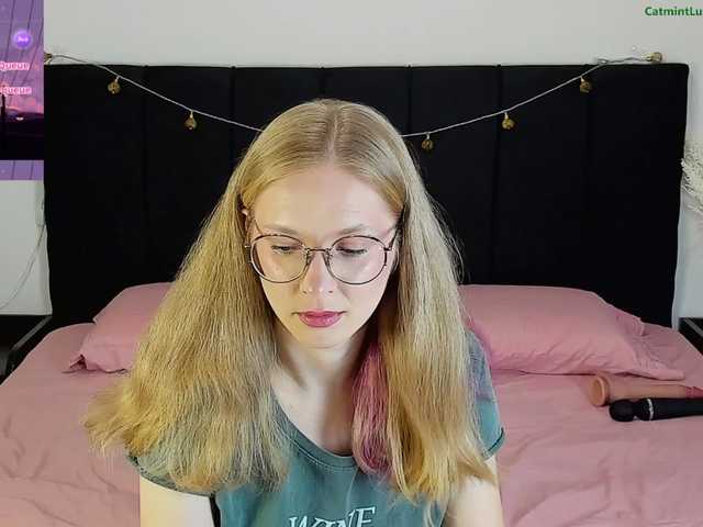 CatmintLush