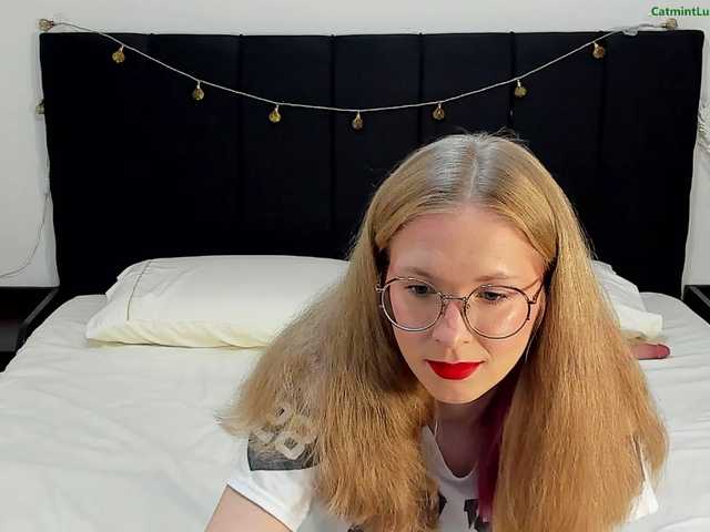 CatmintLush