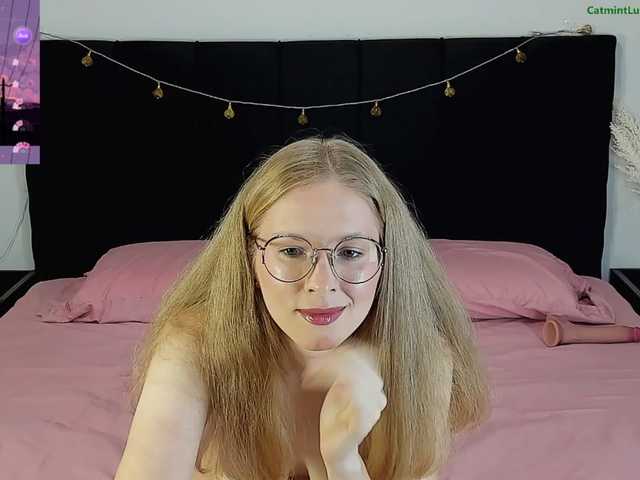 CatmintLush