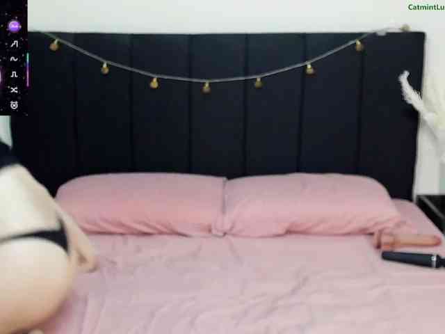 CatmintLush webcam