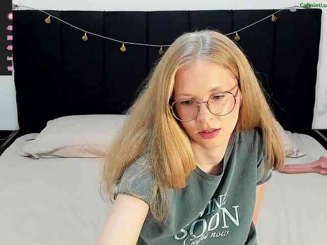 CatmintLush