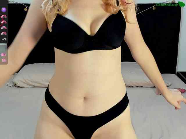 CatmintLush webcam