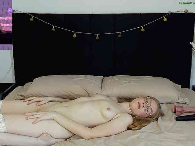 CatmintLush webcam