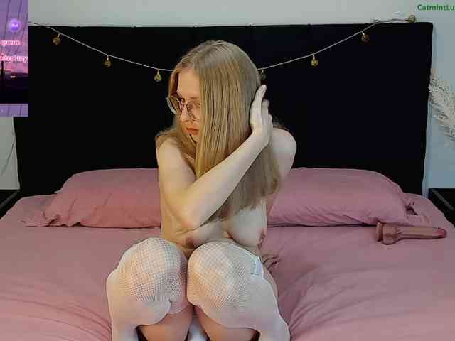 CatmintLush webcam