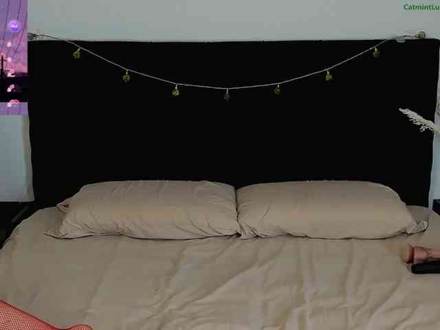 CatmintLush webcam