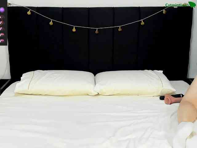 CatmintLush webcam
