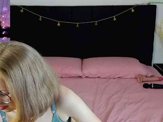 CatmintLush webcam