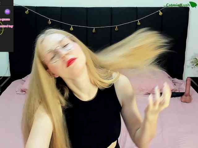 CatmintLush