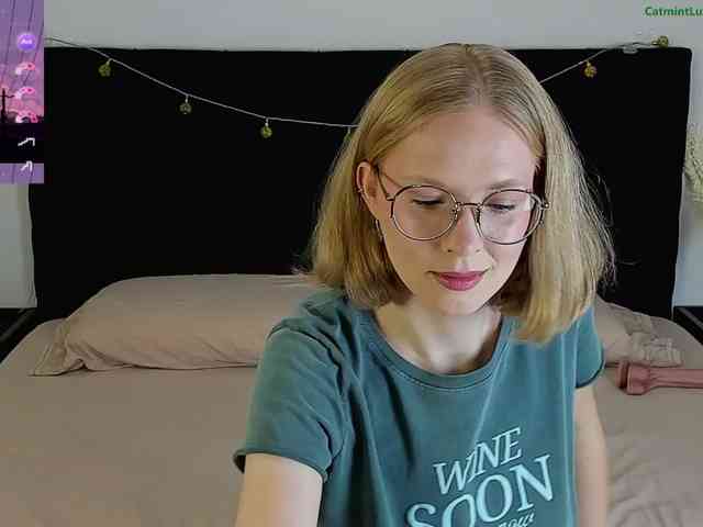 CatmintLush CatmintLush
