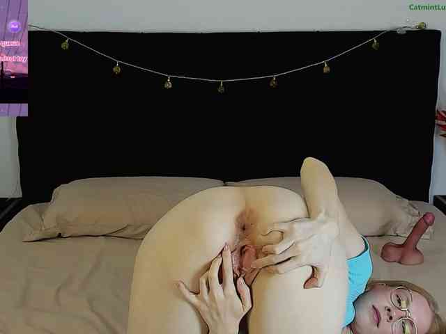 CatmintLush webcam
