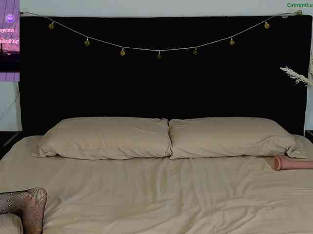 CatmintLush webcam