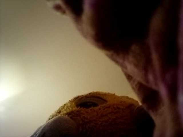 CuddleBear