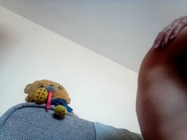 CuddleBear live webcam show