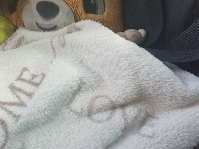 CuddleBear