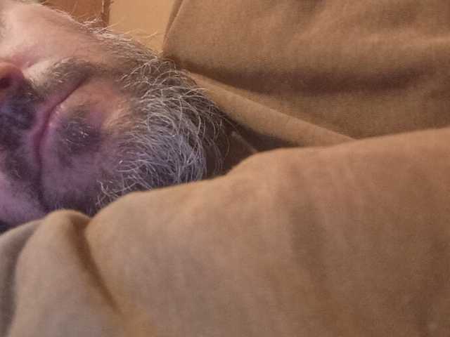 CuddleBear