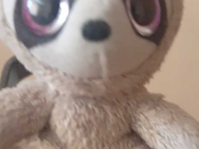 CuddleBear