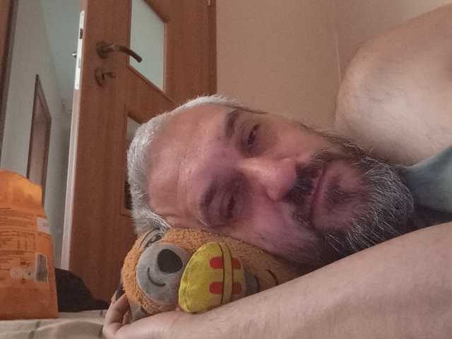 CuddleBear