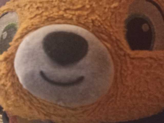 CuddleBear