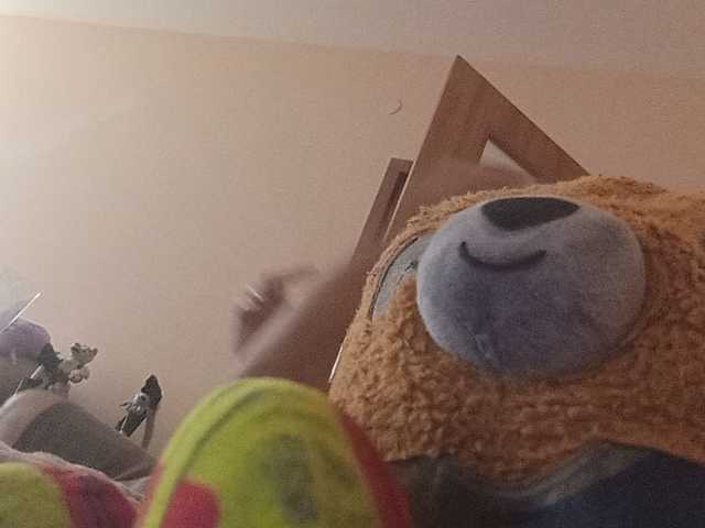 CuddleBear