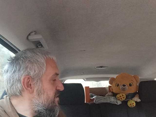CuddleBear