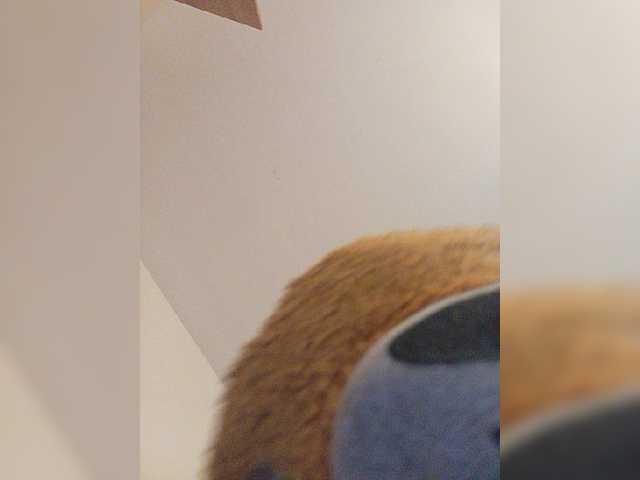 CuddleBear