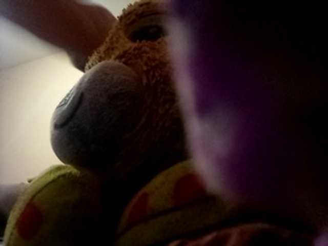 CuddleBear