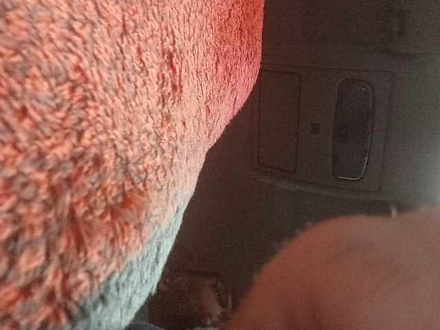 CuddleBear