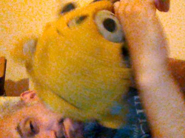 CuddleBear