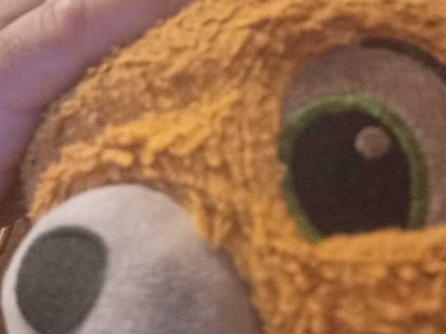 CuddleBear